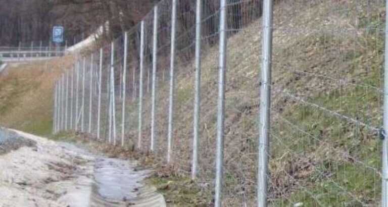 Un rădăuțean a rămas peste noapte fără gard