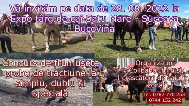 Un impresionant târg la cai&nbsp; va fi organizat la sfârșitul săptămânii, la Satu Mare