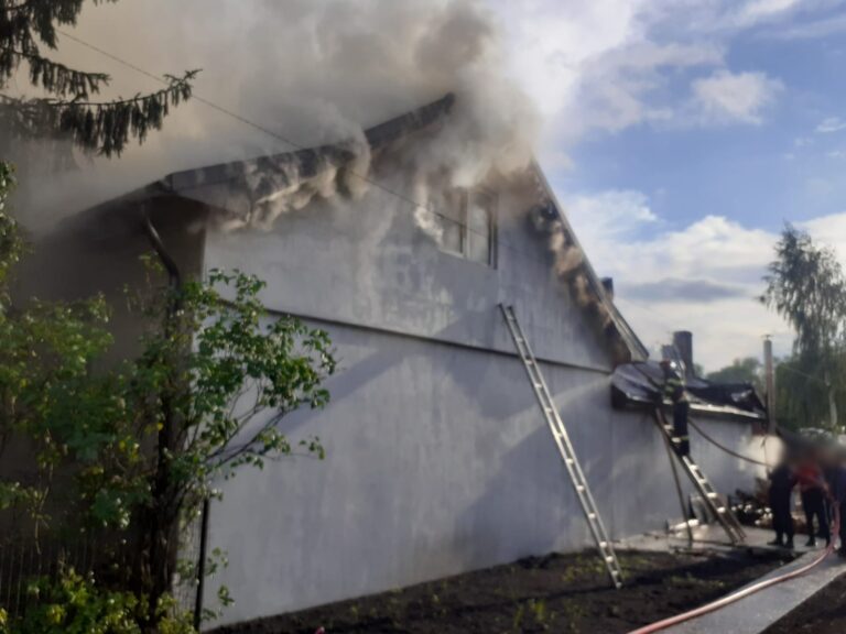 FOTO Incendiu izbucnit într-o gospodărie din Dornești