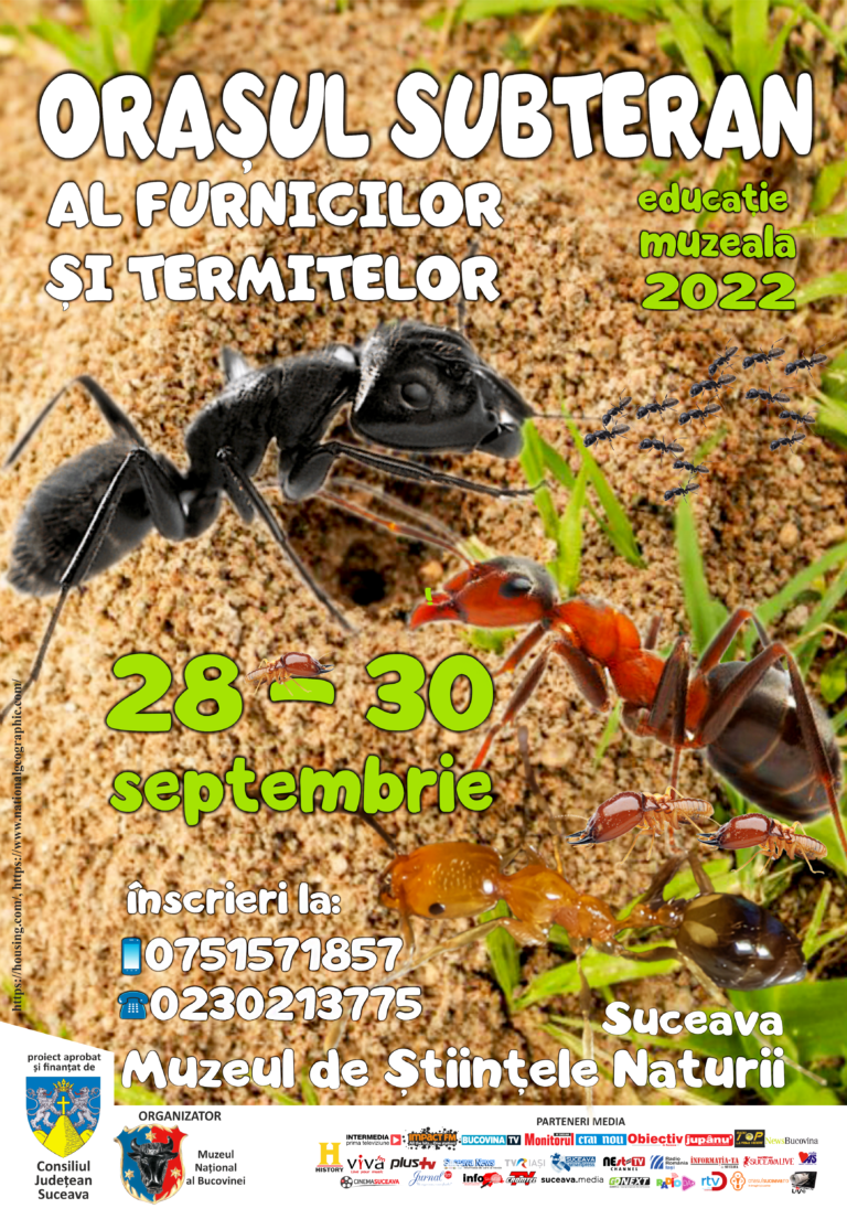 Muzeul de Științele Naturii va găzdui lecția de muzeu „Orașul subteran al furnicilor și termitelor”