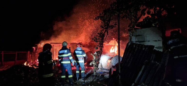 FOTO Doi porci, 21 de păsări și un iepure au murit într-un incendiu produs la Zvoriștea
