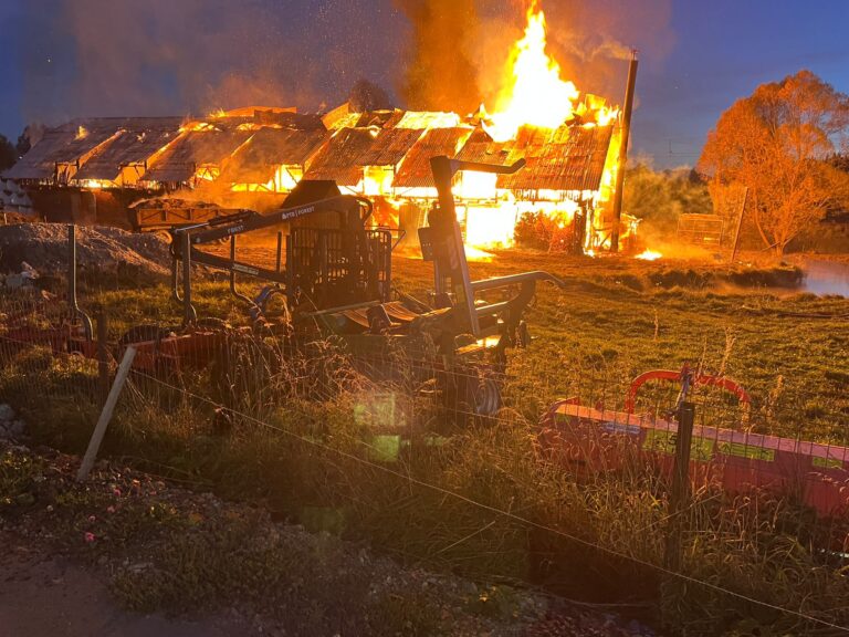 VIDEO FOTO Pagube de peste 400.000 de lei produse în urma incendiului care a cuprinsă o fermă de animale din Coșna