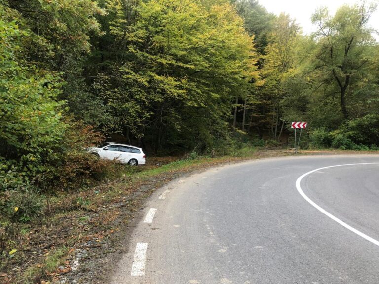 Trei tineri s-au ascuns o noapte întreagă într-o pădure din Berchișești după ce au ieșit la plimbare cu mașina, deși nici unul dintre ei nu are permis de conducere, și au dat nas în nas cu un echipaj de poliție