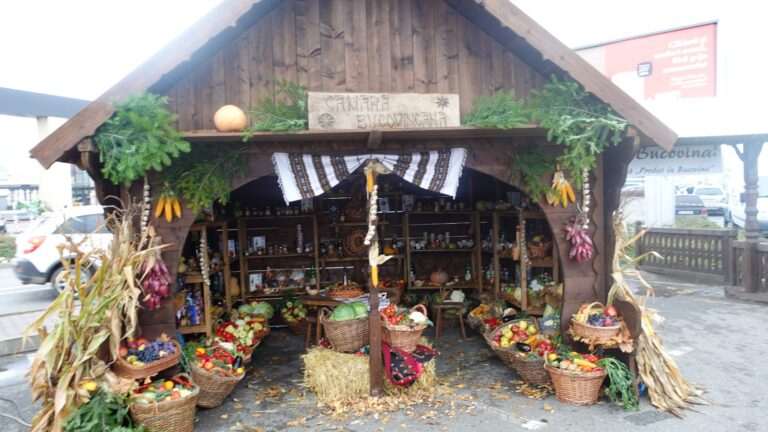 FOTO Târgul de Toamnă „Produs în Bucovina” și-a deschis porțile: „Târgul de toamnă este destinat oamenilor care toată vara au lucrat și acum, toamna, își bagă în cămări, produsele lor pentru iarnă”