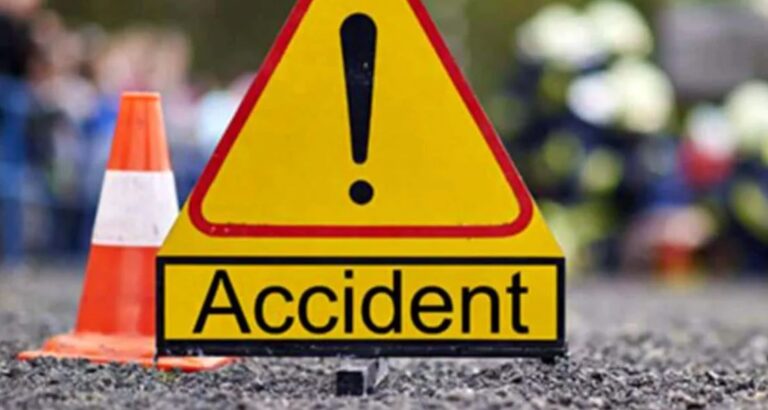 Accident produs la Arbore de un camionagiu neatent