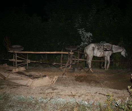 Un tânăr din Sucevița a ajuns la spital după ce a căzut dintr-o căruță într-o râpă