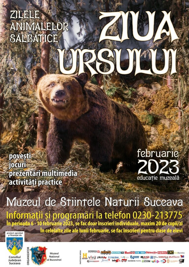Muzeul Național al Bucovinei dă startul Programului educațional Zilele animalelor sălbatice, prin sărbătorirea celui mai mare animal din pădurile României, Ursul