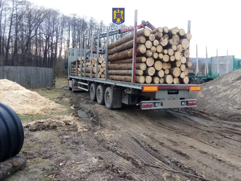 FOTO Un nou camion folosit la transportul ilegal de lemne a fost confiscat după ce a fost oprit de polițiștii din Vadu Moldovei