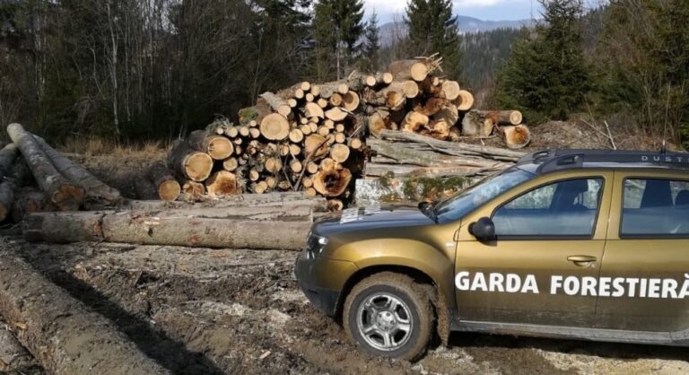 Amenzi în valoare de aproape un milion de lei date de Garda Forestieră Suceava, în primele 5 luni ale anului