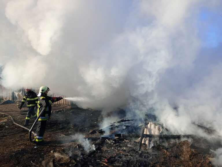 FOTO 30 de păsări de curte și un cal au pierit într-un incendiu produs la Cornu Luncii