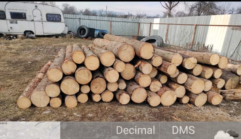 FOTO Amenzi de 40.000 de lei aplicate unui gater din Mălini care a livrat sistematic lemne fără acte