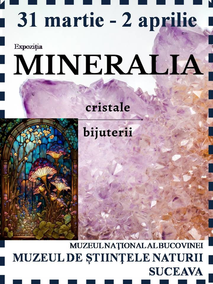 Expoziția „Mineralia” le oferă sucevenilor ocazia să descopere fascinanta lume a pietrelor