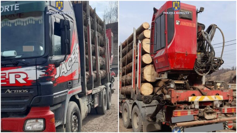 FOTO Camion de 20.000 de euro, folosit la transportul ilegal de lemne, confiscat de polițiști de la un individ din Stulpicani