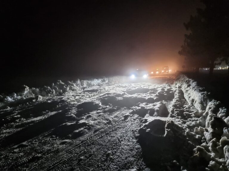 VIDEO FOTO Gianina Ursu, președinta USR Suceava: „Consiliul Județean Suceava, cu Gheorghe Flutur la conducere, dovedește încă o dată, dacă mai era nevoie, cât de incompetent este în exercitarea atribuțiilor și cât de rușine le este sucevenilor cu el”