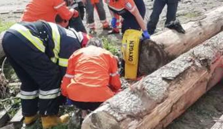 O fetiță de 11 ani a murit strivită de o stivă de lemne, la Mălini