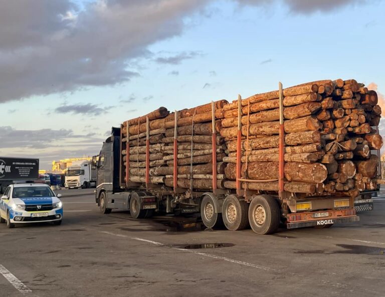 Transport de lemne suspect depistat la poarta fabricii Egger Rădăuți. Polițiștii au confiscat peste 32 de metri cubi de lemne