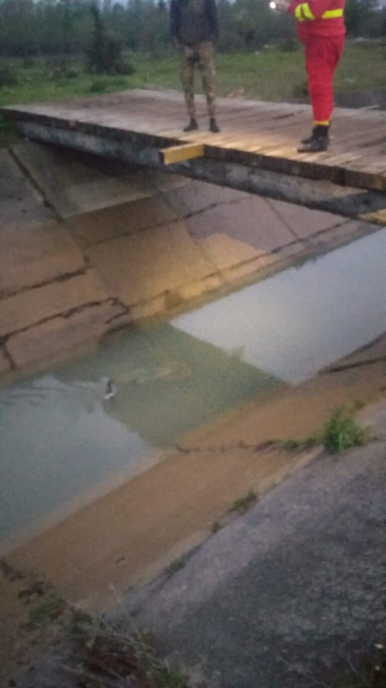 FOTO Un băiețel de 5 ani a murit după ce a căzut cu bicicleta într-un canal cu apă, la Bilca
