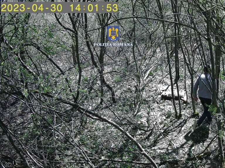FOTO Un bărbat din Dărmănești a fost reținut de polițiști după ce a braconat o căprioară într-o pădure din Todirești