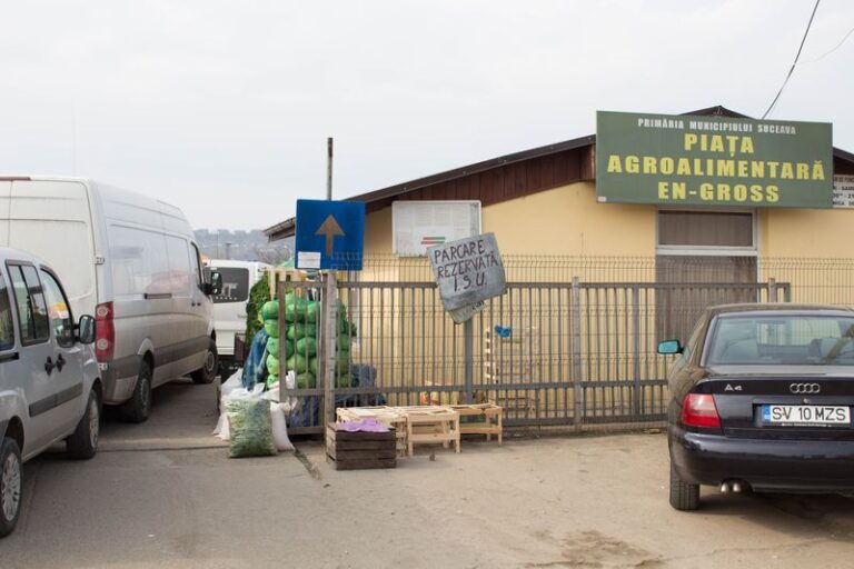 Amenzi în valoare de aproape 70.000 de lei date de polițiștii suceveni în urma unui control făcut în Piața En-Gross Burdujeni
