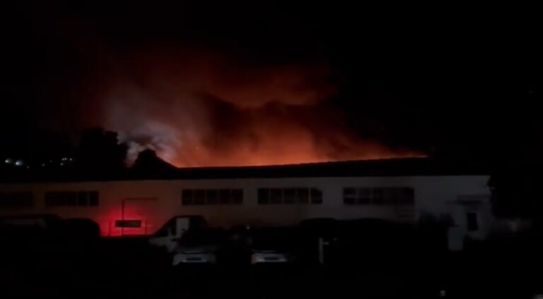 Incendiu de proporții izbucnit la un depozit din Șcheia