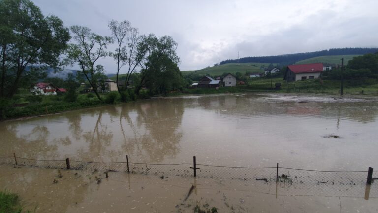 VIDEO FOTO Mai multe gospodării din Stulpicani au fost inundate în urma precipitațiilor abundente din ultimele ore
