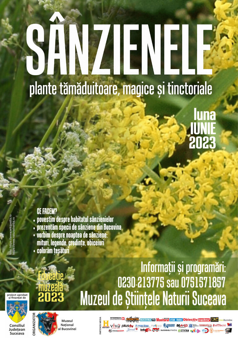 Muzeul de Științele Naturii Suceava va găzdui lecția de muzeu „Sânzienele – plante tămăduitoare, magice și tinctoriale”