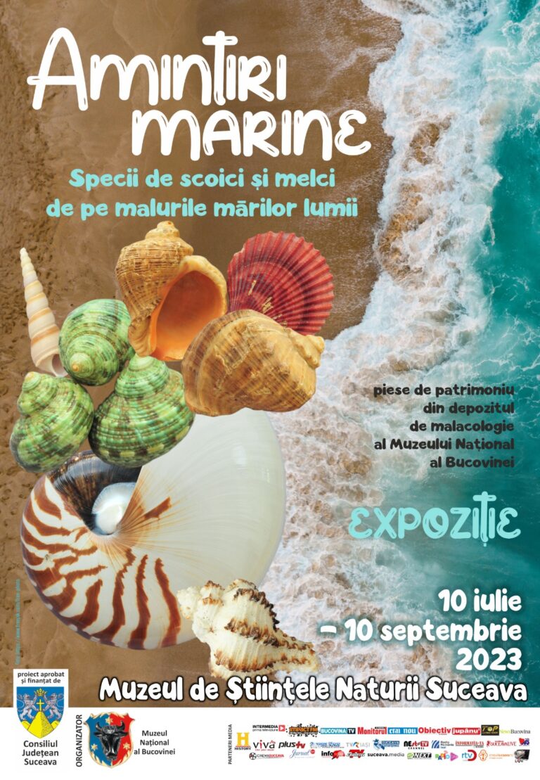 Muzeul Național al Bucovinei organizează expoziția „Amintiri marine. Specii de melci și scoici de pe malurile mărilor lumii”