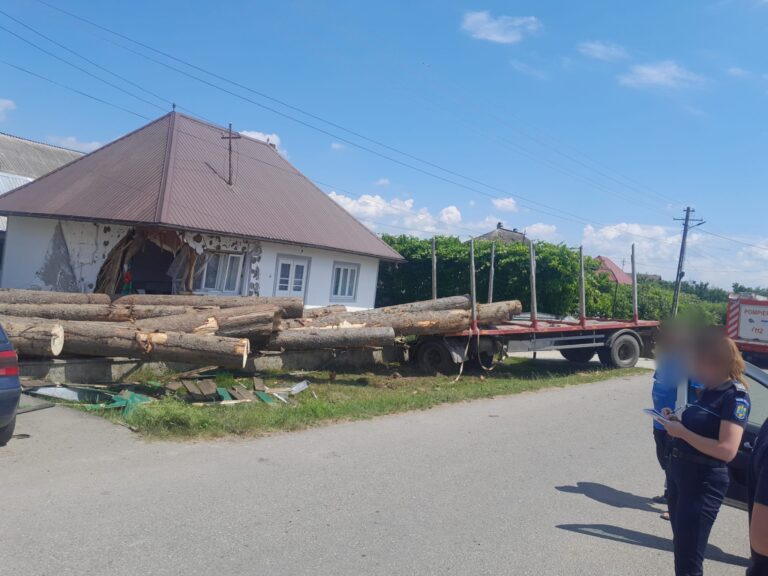 FOTO Un TIR încărcat cu bușteni s-a prăvălit la Bogdănești. Două gospodării au fost afectate