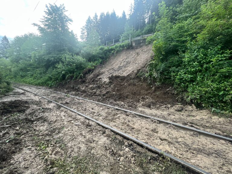 FOTO Prefectul Alexandru Moldovan a constituit o comisie mixtă pentru a fi găsită o soluție pe termen lung pentru ca circulația feroviară să se desfășoare în siguranță între Sadova și Pojorâta