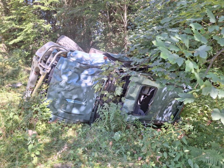 FOTO O femeie și doi copii au fost răniți după ce o mașină s-a răsturnat într-o râpă, la Lupcina