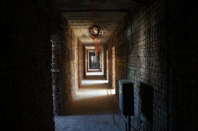 FOTO Palatul Administrativ al Sucevei va fi reabilitat până la sfârșitul anului 2025: „Vrem ca sediul Palatului Administrativ să fie emblematic, să păstrăm și patina de monument istoric categoria B, dar să știm că este și o clădire în siguranță”