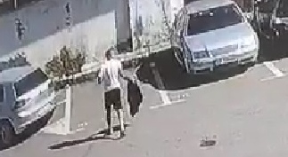 VIDEO Un câmpulungean care a băgat două pisicuțe într-un sac și le-a aruncat sub o mașină a fost amendat de polițiști cu 3.000 de lei