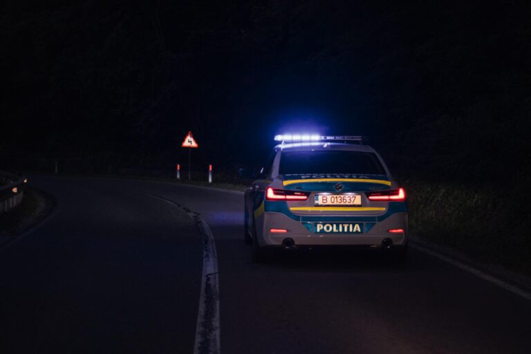 FOTO 10 indivizi dați în urmărire internațională au fost prinși de polițiștii suceveni în luna Diasporei