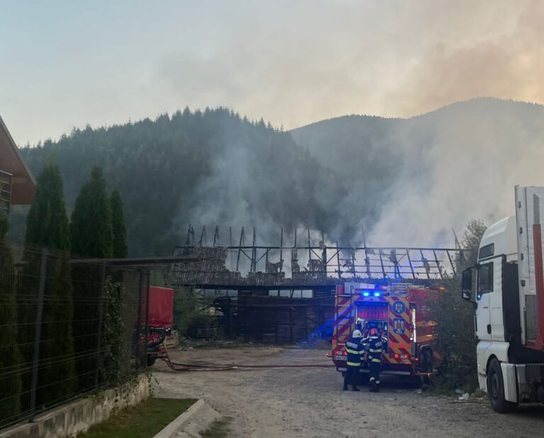 FOTO Pagube de 120.000 de lei produse în urma incendiului izbucnit la un gater din Vama