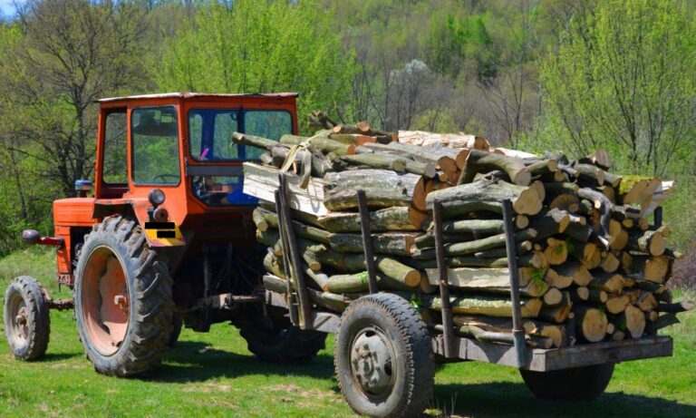 Un bărbat din Dolhasca a fost reținut de polițiști după ce s-a urcat beat turtă la volanul unui tractor și s-a dus la furat de lemne
