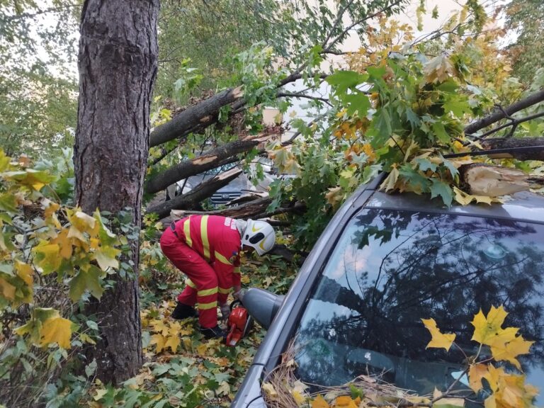 VIDEO FOTO Un copac a căzut peste trei mașini parcate pe o stradă din Suceava