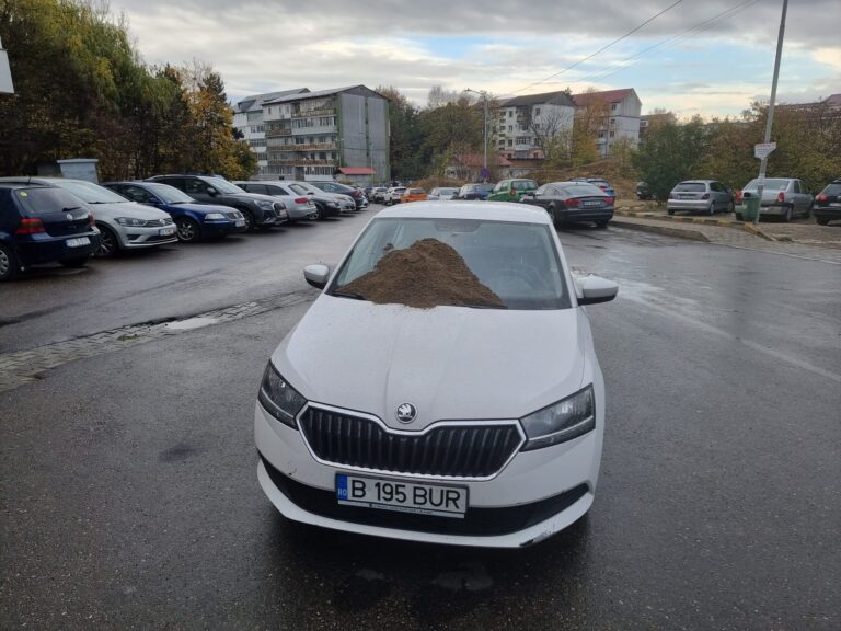 FOTO O mașină parcată anapoda pe o stradă din Suceava a fost „îngropată” în nisip în semn de protest