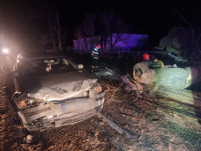FOTO Un șofer s-a izbit cu mașina într-un copac doborât de vânt, la Arbore