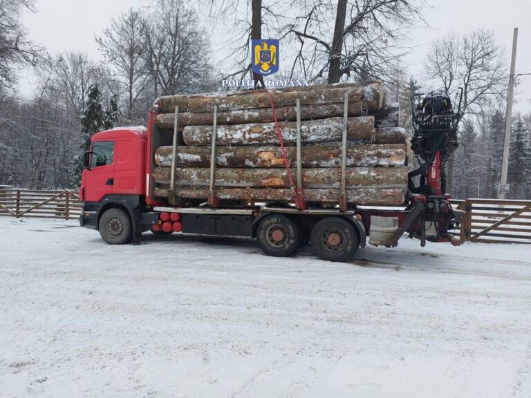 FOTO Un TIR de 50.000 de euro folosit la transportul lemnelor fără acte a fost confiscat de polițiști, la Mălini
