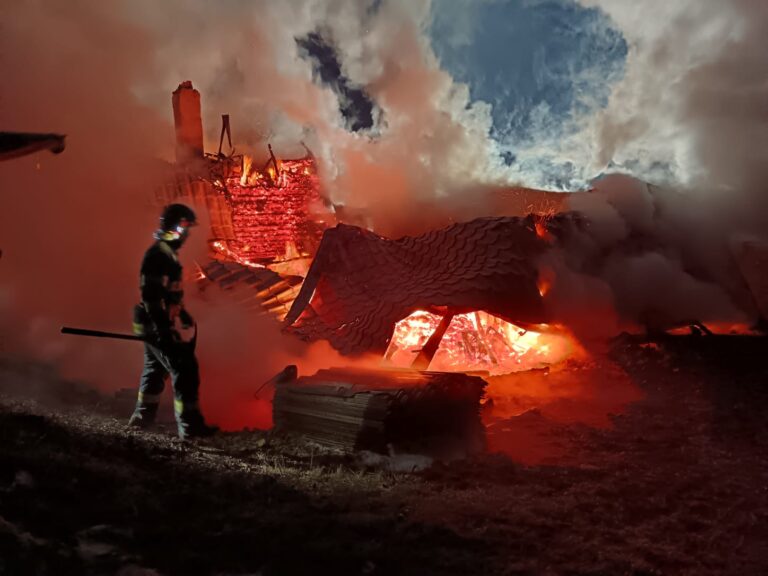 VIDEO FOTO O gospodărie din Ulma a fost făcută scrum de un incendiu devastator