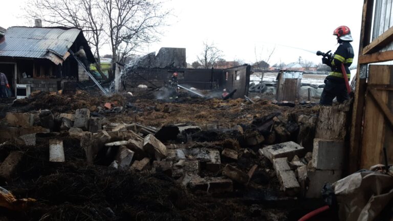 FOTO Opt vaci au pierit într-un cumplit incendiu produs la Zvoriștea