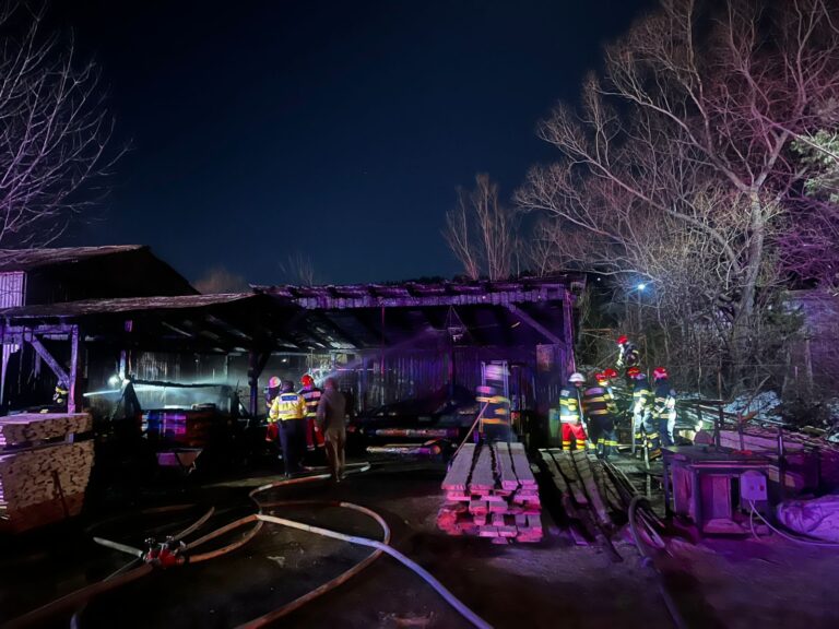 FOTO Incendiu izbucnit la un gater din Frasin