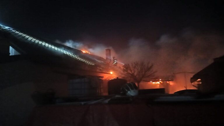 FOTO Un incendiu de proporții a cuprins o gospodărie din Udești
