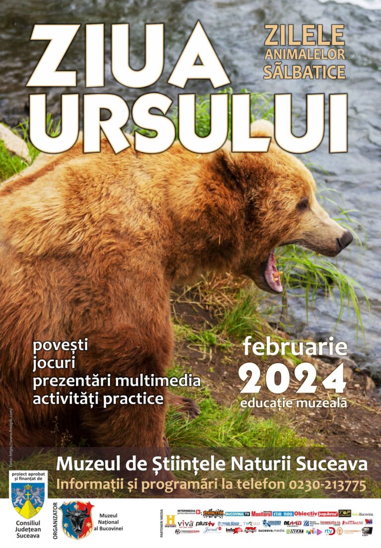 Muzeul de Științele Naturii derulează activitățile din cadrul programului Zilele animalelor sălbatice – tema: „Ziua Ursului”