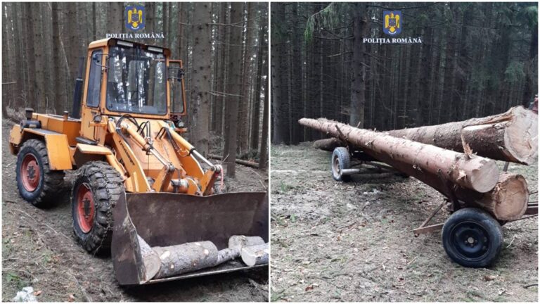 FOTO Polițiștii au confiscat un TAF de la un individ din Vatra Moldoviței care a tăiat ilegal doi copaci dintr-o pădure din Sucevița