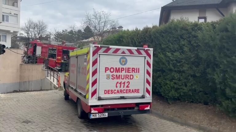 VIDEO Cinci pisici și trei câini au murit intoxicați cu fum într-un apartament din Suceava