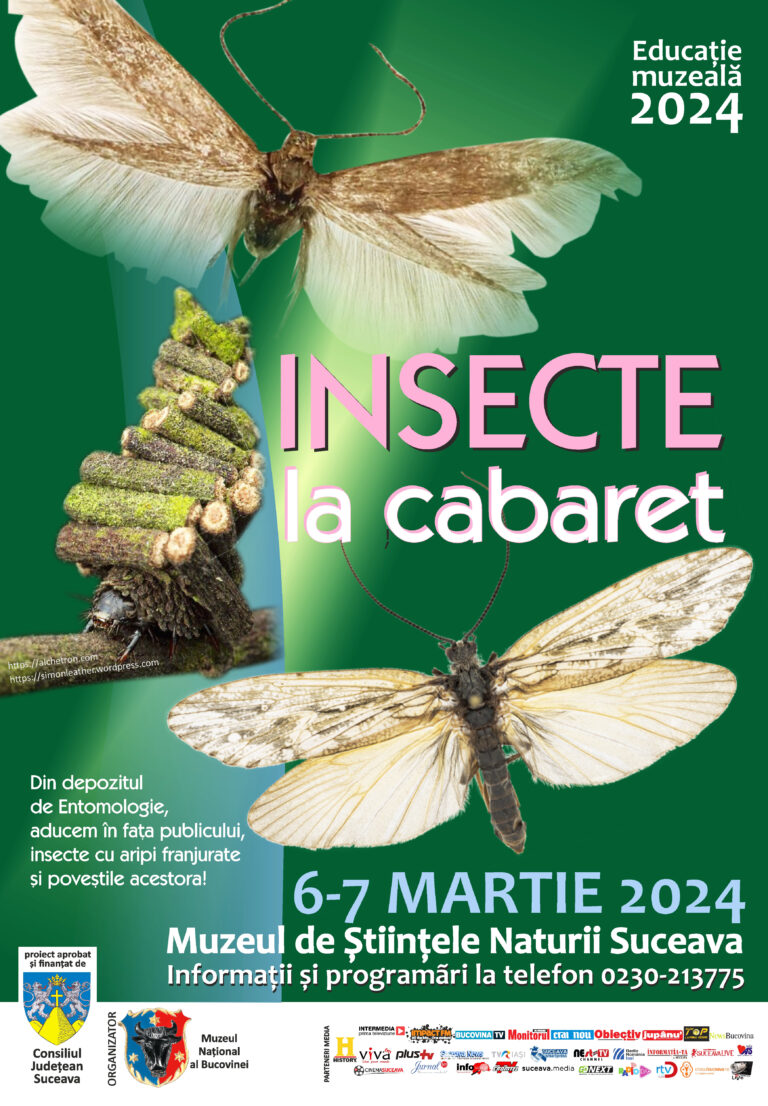 Lecția de muzeu „Insecte la Cabaret” va avea lor la Muzeul de Științele Naturii din Suceava
