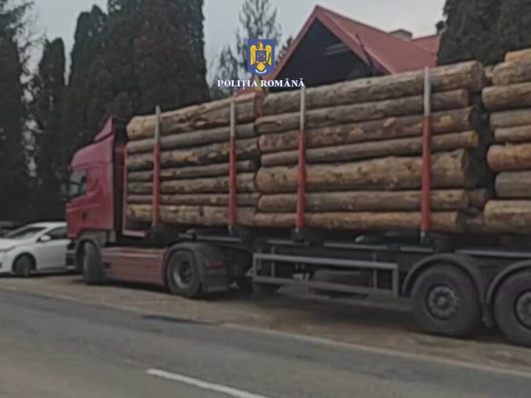 FOTO Un TIR folosit la transportul ilegal de lemne a fost confiscat de polițiști din curtea celor de la Egger Rădăuți