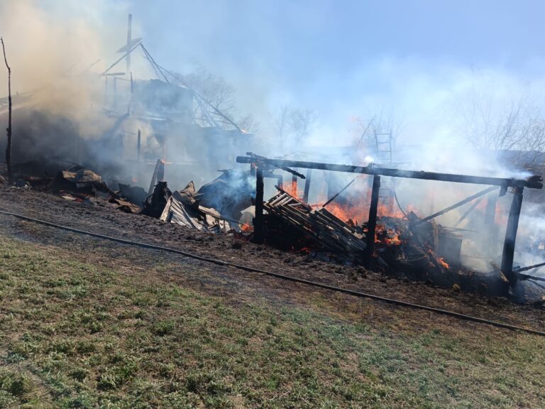 FOTO Incendiu de proporții a izbucnit într-o gospodărie din Horodnic de Jos