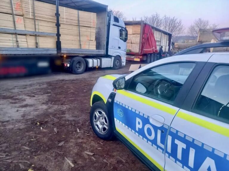 Transport ilegal de lemne oprit de polițiști, la Râșca